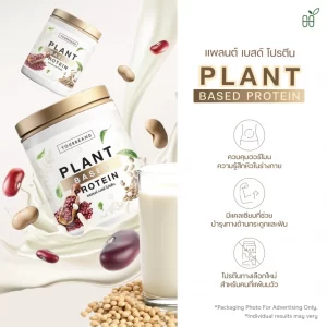Plant Based Protein